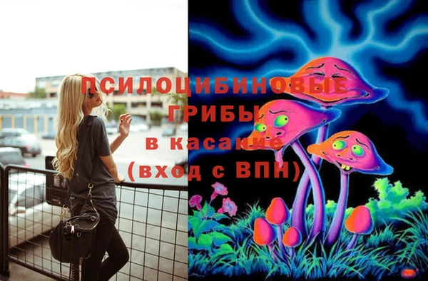 крисы Заводоуковск