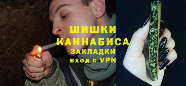 крисы Заводоуковск